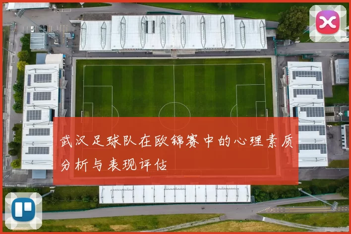 武汉足球队在欧锦赛中的心理素质分析与表现评估