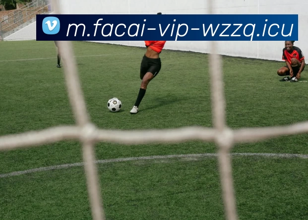 开云体育品牌故事